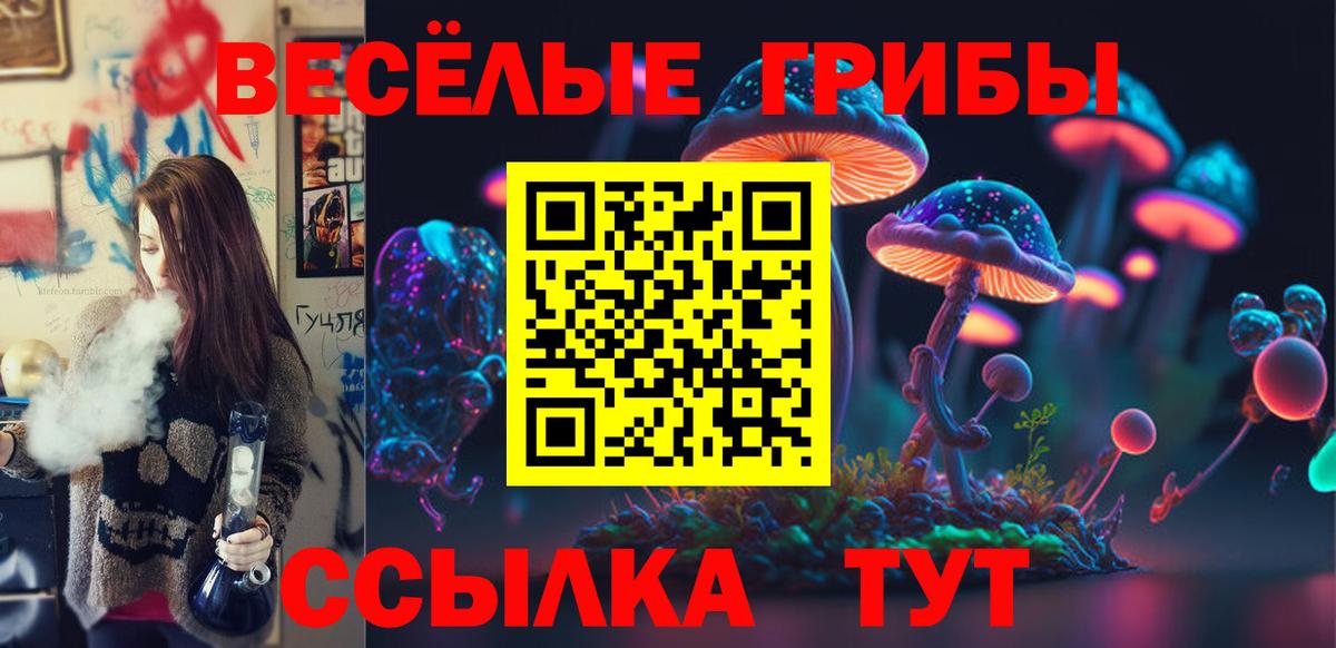 Псилоцибиновые грибы мицелий  Псилоцибиновые грибы ЛСД  Железногорск  Вход с VPN 