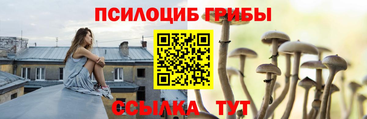 Псилоцибиновые грибы ЛСД Железногорск